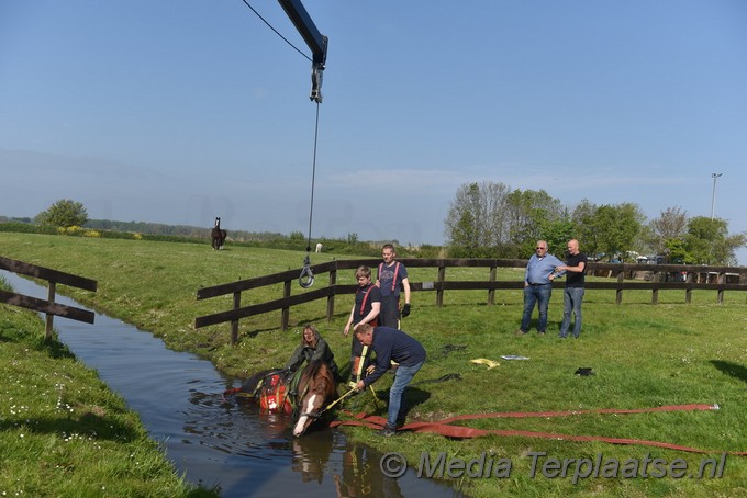 Mediaterplaatse paard uit sloot valkenburg zh 07052022 Image00004