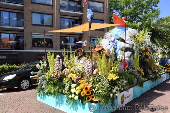 Mediaterplaatse flowerparade rijnsburg 12082023 wpf Image00026