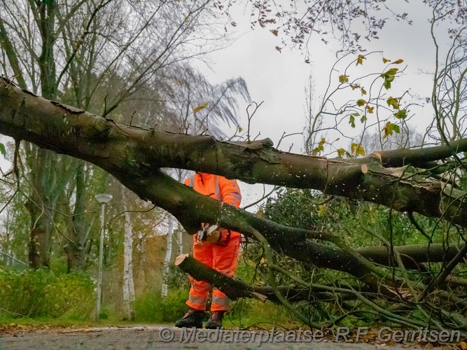 Mediaterplaatse storm schade groenhovenpark gouda 23112023 Image00004