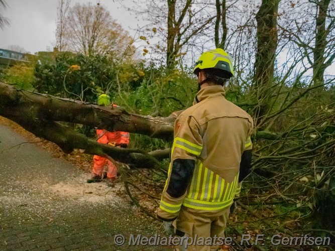 Mediaterplaatse storm schade groenhovenpark gouda 23112023 Image00006