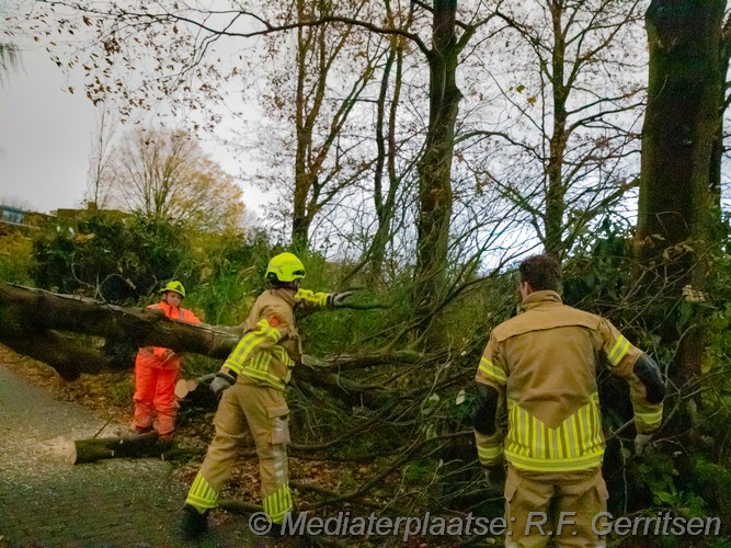 Mediaterplaatse storm schade groenhovenpark gouda 23112023 Image00007