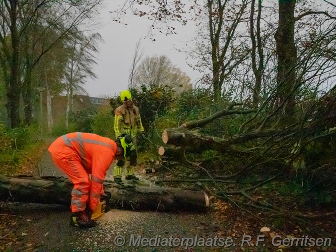 Mediaterplaatse storm schade groenhovenpark gouda 23112023 Image00009