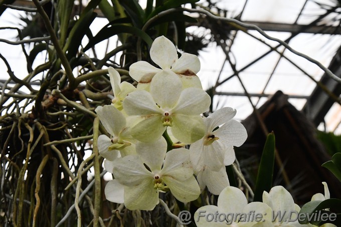 Mediaterplaatse er op uit orchideen hoeve 01092023 Image00006
