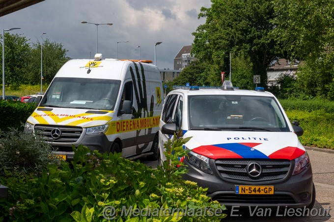 Mediaterplaatse woningbrand tolheksbos hdp 3152024 Image00007