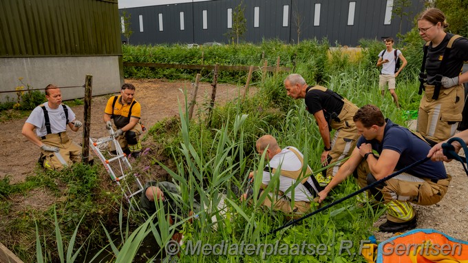 Mediaterplaatse dier te water rotterdam 01082024 Image00003