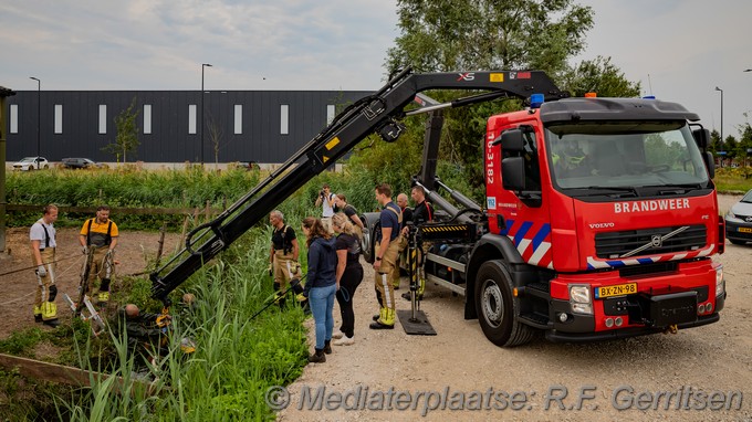 Mediaterplaatse dier te water rotterdam 01082024 Image00005