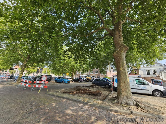 Mediaterplaatse last van wortels bomen leiden 19082024 Image00001