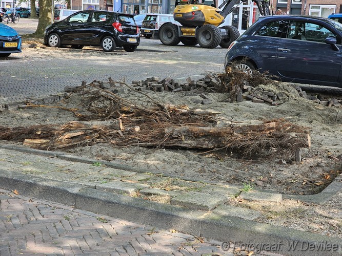 Mediaterplaatse last van wortels bomen leiden 19082024 Image00004