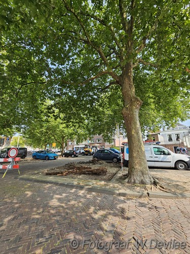 Mediaterplaatse last van wortels bomen leiden 19082024 Image00005