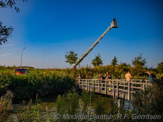 Mediaterplaatse persoon te water waddinsveen 28082024 Image00001