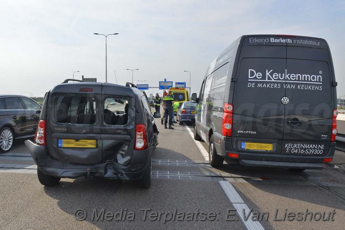 Mediaterplaatse kopstaart n201 hoofddorp 02062017 Image00002