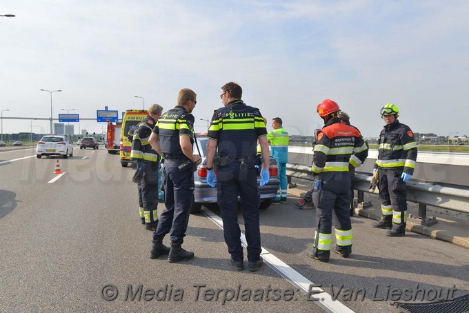 Mediaterplaatse kopstaart n201 hoofddorp 02062017 Image00003