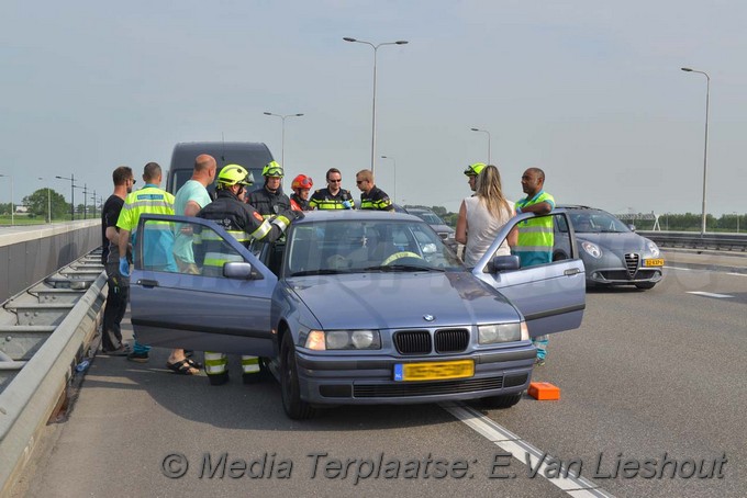 Mediaterplaatse kopstaart n201 hoofddorp 02062017 Image00004