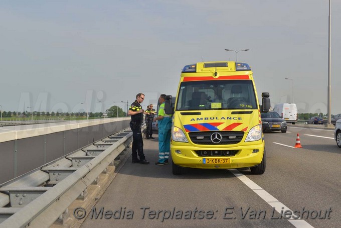 Mediaterplaatse kopstaart n201 hoofddorp 02062017 Image00006