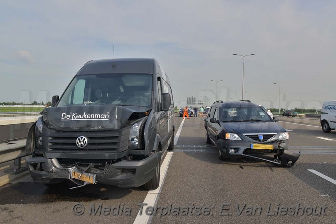 Mediaterplaatse kopstaart n201 hoofddorp 02062017 Image00007