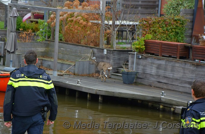 mediaterplaatse ree laat hulpdiensten zweten 22122018 Image00003