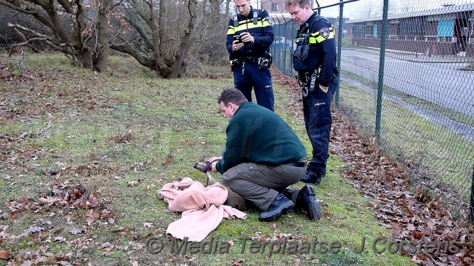 mediaterplaatse ree laat hulpdiensten zweten 22122018 Image00008