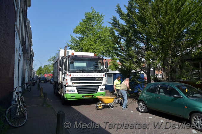 Mediaterplaatse bomen utrechtse veer leiden 09052018 Image00001