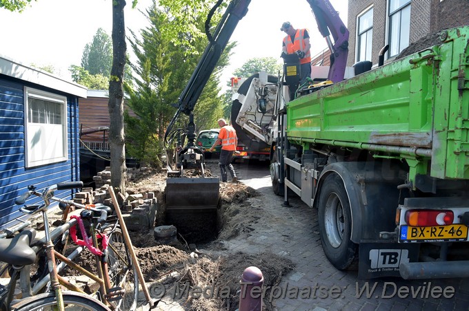 Mediaterplaatse bomen utrechtse veer leiden 09052018 Image00004
