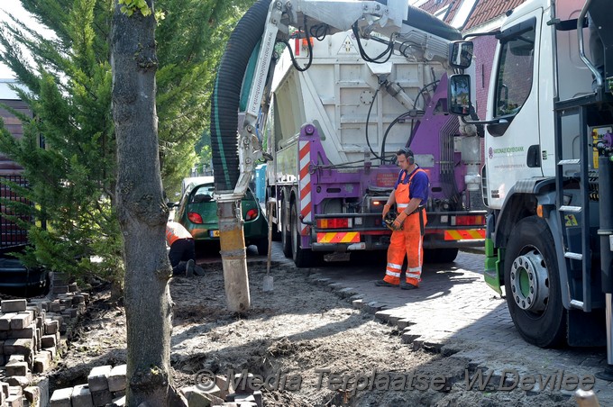 Mediaterplaatse bomen utrechtse veer leiden 09052018 Image00005