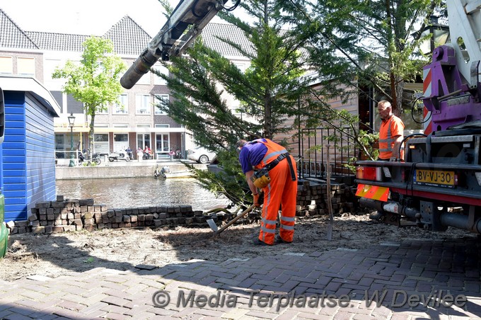 Mediaterplaatse bomen utrechtse veer leiden 09052018 Image00006