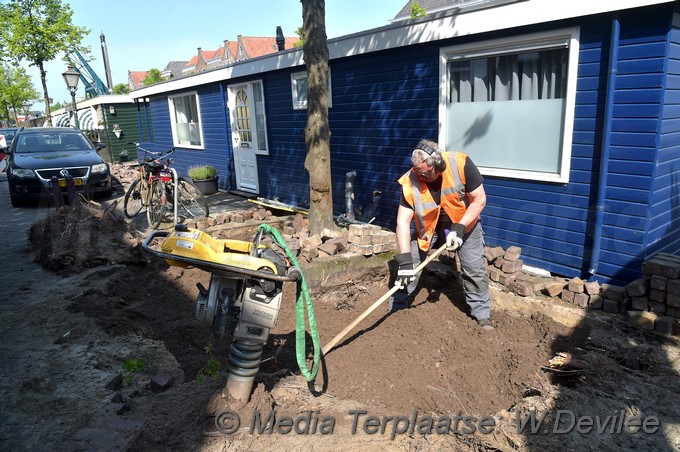 Mediaterplaatse bomen utrechtse veer leiden 09052018 Image00007