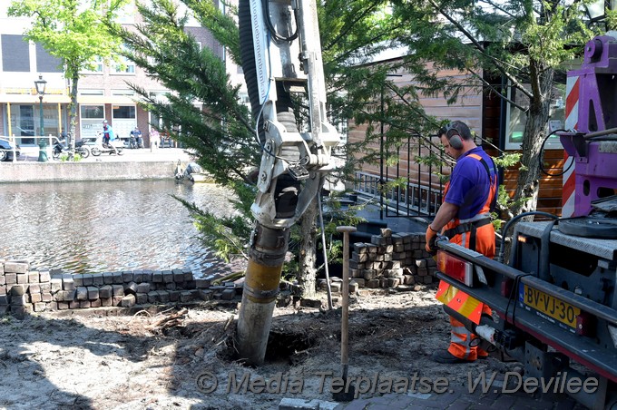 Mediaterplaatse bomen utrechtse veer leiden 09052018 Image00008