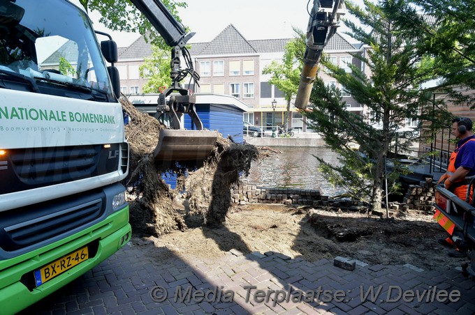 Mediaterplaatse bomen utrechtse veer leiden 09052018 Image00009