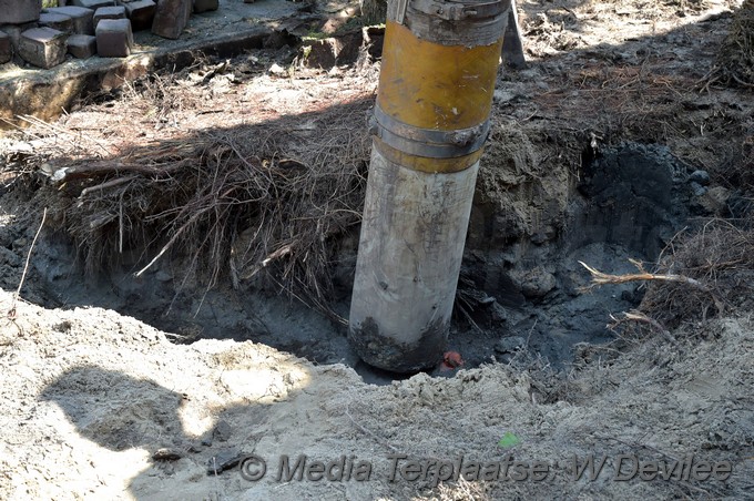 Mediaterplaatse bomen utrechtse veer leiden 09052018 Image00010
