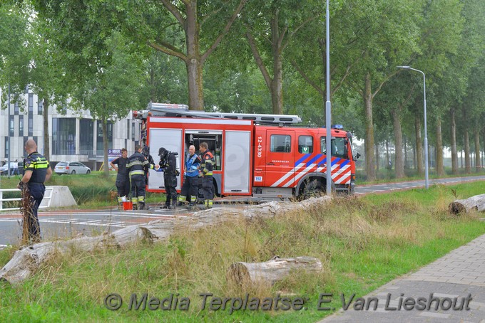 Mediaterplaatse dode hoofdweg nvp 19082018 Image00009