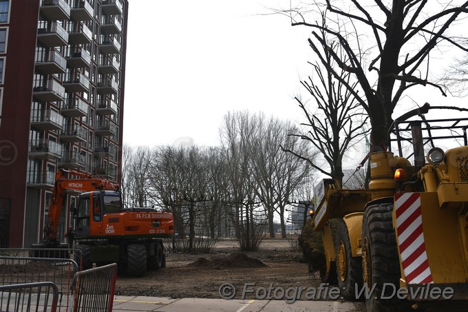 MediaTerplaatse bomen verplaatst ivm nieuwbouw ldn over de weg 06032018 Image01028