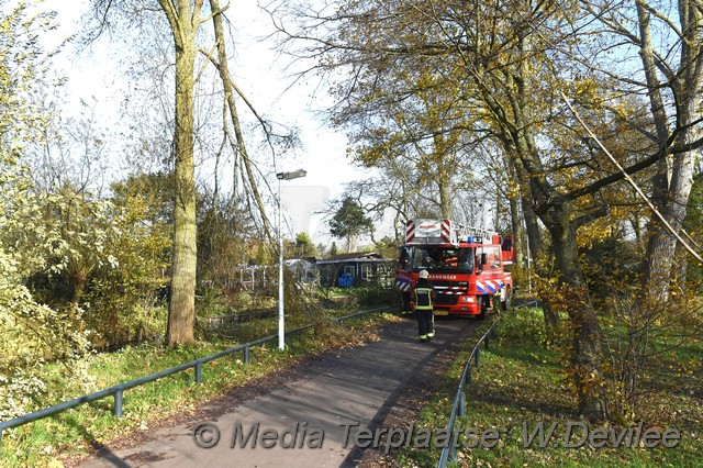 Mediaterplaatse storm schade boom ldn 22112016 Image00001