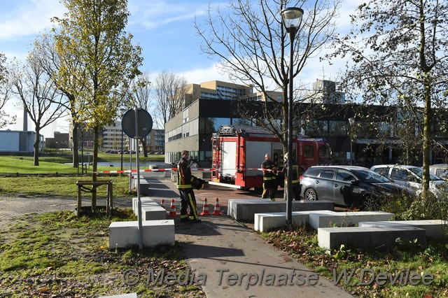 Mediaterplaatse storm schade boom ldn 22112016 Image00002