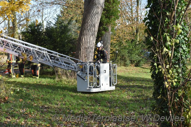 Mediaterplaatse storm schade boom ldn 22112016 Image00003