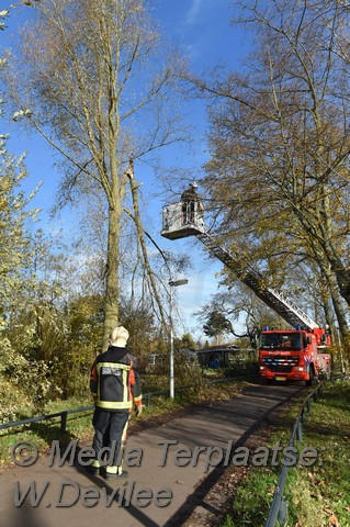 Mediaterplaatse storm schade boom ldn 22112016 Image00004