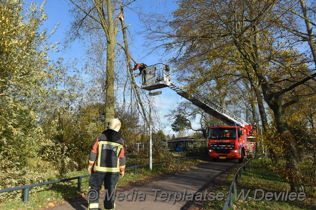 Mediaterplaatse storm schade boom ldn 22112016 Image00005