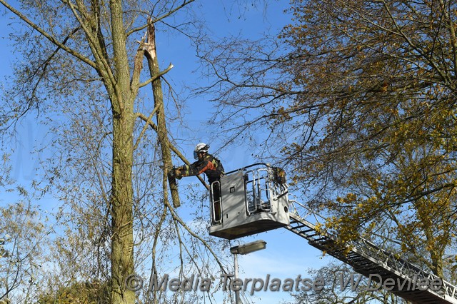 Mediaterplaatse storm schade boom ldn 22112016 Image00007