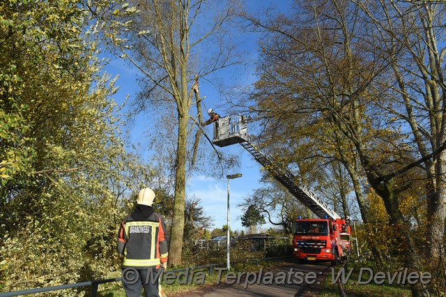 Mediaterplaatse storm schade boom ldn 22112016 Image00009