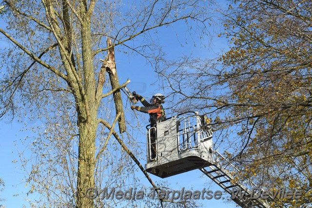 Mediaterplaatse storm schade boom ldn 22112016 Image00011