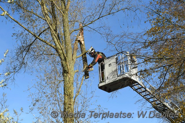 Mediaterplaatse storm schade boom ldn 22112016 Image00013