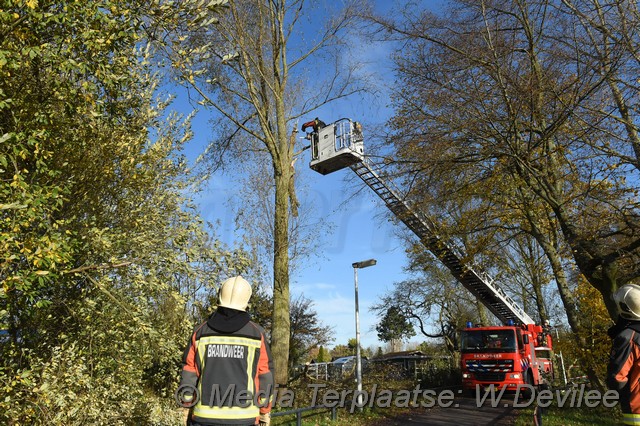 Mediaterplaatse storm schade boom ldn 22112016 Image00015