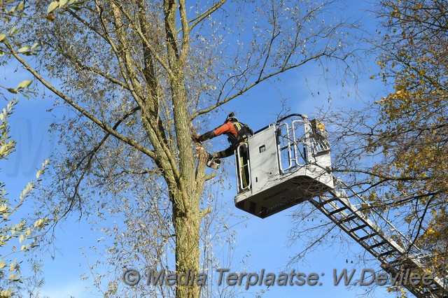 Mediaterplaatse storm schade boom ldn 22112016 Image00017