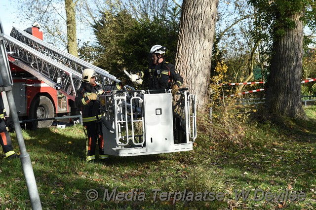 Mediaterplaatse storm schade boom ldn 22112016 Image00019
