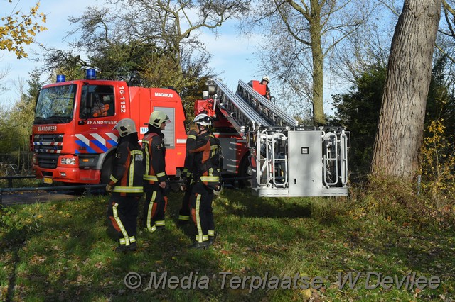 Mediaterplaatse storm schade boom ldn 22112016 Image00020
