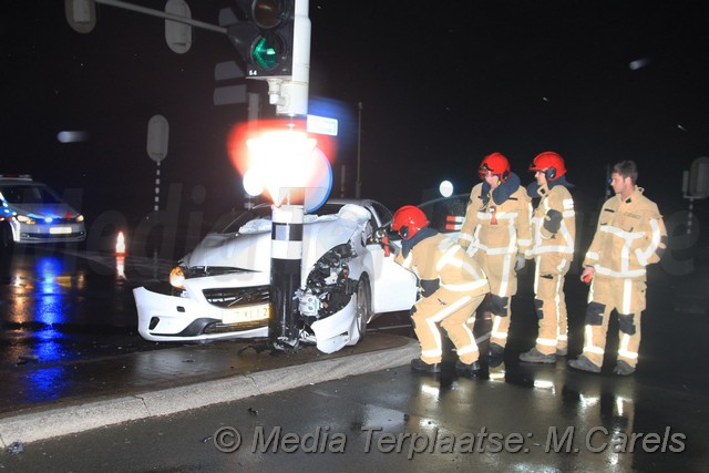 Mediaterplaatse flinke klapper kuddelstaart aalsmeer 23022017 Image00003