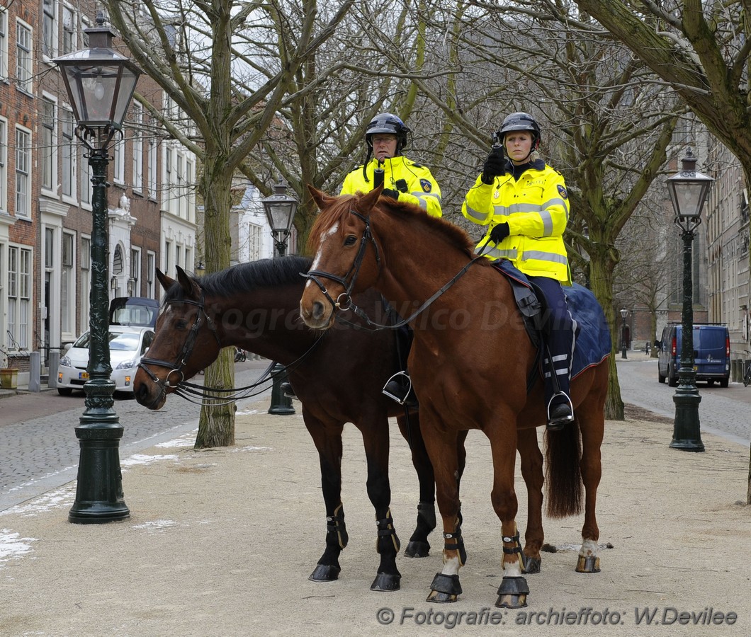 MediaTerplaatse politie paarden pers ldp 09012018 Image00001